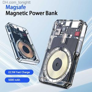 Transparent Magnetic Power Bank Usb-Type C Wireless Powerbank Two-Way Fast Charge Battery Charger for Magsafe Series Phone Q230826