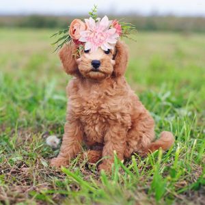 Collari per cani Corona nuziale Copricapo per animali Foglie di fiori Ghirlanda naturale fresca Fascia per capelli per gatti per cucciolo