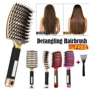 Hårborstar Scalp Massage Comb Brestle Nylon Hairbrush Wet Curly Doltangle Antistatic Brush Professional Salon Frisörstil 230826