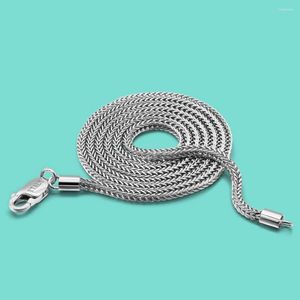 Correntes Chopin Chain Colar para Mulheres 925 Sterling Sliver Banhado Platinum Lagosta Fecho Simples Todos os Jogo Colares Hiphop Punk Party