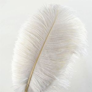 Other Hand Tools 50PcsLot White Ostrich Feathers for Crafts 1570cm Feather Decor DIY party Wedding Accessories Decoration Plumas Plumes 230826