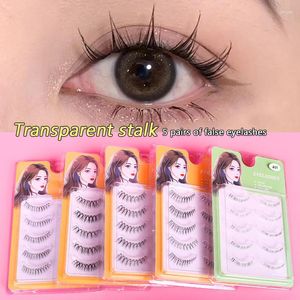 Cílios postiços naturais longos maquiagem dos olhos 5 par conjunto cos lash extensão 3d grupo japonês fada cosplay transparente terrier cílios