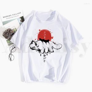 Men's T-skjortor avatar den sista airbender aang appa anime badass tryck skjorta mans t-shirt manlig avslappnad kortärmning toppar harajuku