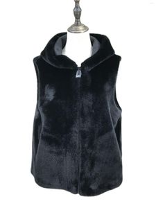 Gilet da donna Gilet in pelliccia sintetica con cappuccio 2023 Furry Fashion Lussuosa cerniera in visone