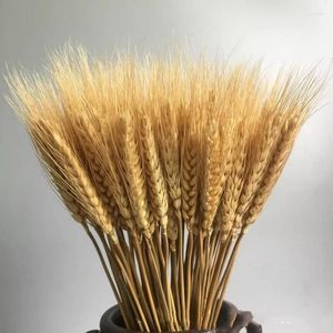 Decorative Flowers 50PCS Wheat Natural Dried Centerpieces For Weddings Mother's Day Artificial Like Real Wedd