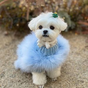 Hundkläder Noblewoman Turkiet Hair Spring Autumn Warm Dog Sweater Pet Warm Core Garn Dog Outfit kläder 230828