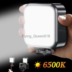 Przenośna mini LED kamera wideo Noc 6500K Lampka do kamery statyw selfie Stick Wypełnij lekkie urazy twarzy LED DSLR Lighting HKD230828