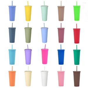 Water Bottles 20 Colors 700ML Double Layer Frosted Plastic Straw Cup With Lid Coffee Drinkware Outdoor For Sports Camping