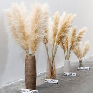 Dekoratif Çiçek Çelenkler 10 PCS Tüy 30-75cm Büyük Pampas Çim Kurutulmuş Çiçek Buket Buket Ev Dekoru Uzun Koyu Saplar Salon Dekor Düğün Dekorasyonu 230828