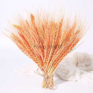 25 Stück getrockneter Blumenstrauß Orange Weizen/Roggen Haufen Hochzeit Party Home Decor künstliche festliche Lieferungen HKD230829