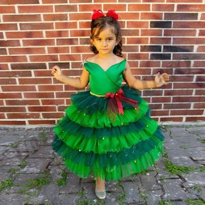 Vestidos para meninas, pinheiro verde, flor de aniversário, primeira comunhão, festa de casamento, fantasia personalizada