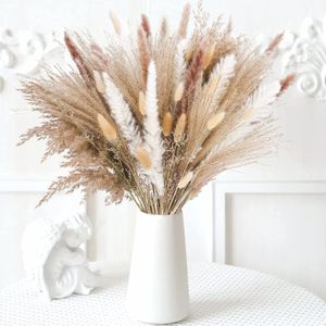 Dekorativa blommor kransar 80st Naturtorkat Pampa gräsbukett Boho Home Decor Bouquet Phragmites Torkade blommor Bukett för bröllop Ramadan dekoration 230828