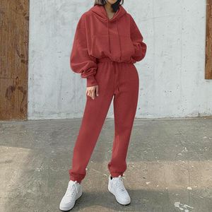 Gym Clothing Women Two-piece Hoodies Sets Winter Spring Solid Casual Tracksuit Sports Sweatshirts Pullover Home Pinstripe Pantsuit