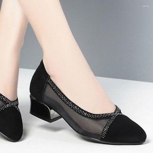 Scarpe eleganti 2023 Estate Asakuchi Donna Tacchi alti da donna Mesh traspirante Casual Tacco quadrato Punta a punta