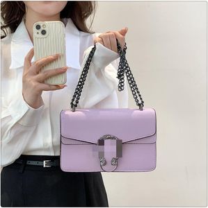 Designer Bag Fashion Chain Diagonal Straddle Bag One Shoulder Wine God Bag Liten Square Bag