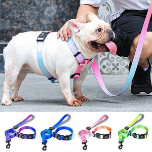 Dog Collars Leashes Designer Dog Collar Leash Harness Fashion Gradient Rainbow Color Pet Products Chain Small Dog Medium Large Fitting Spring Summer 230829