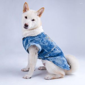 Abbigliamento per cani Cappotto invernale Giacca di jeans Costume Abbigliamento Abbigliamento per animali Cucciolo Chihuahua Barboncino Samoiedo Golden Retriever