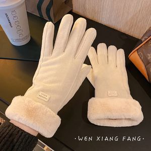 Handschuhe Winter Damen plus Fleece verdickt warm Student Wildleder Damen Reiten winterfest Fahren Winterfeste Touchscreen-Designer-Handschuhe