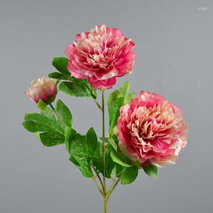 Dekoratif Çiçekler 3 Şeftali ve Peonies Nordic Style Ev Dekorasyon Simülasyonu Toptan Düğün Tavan İpek