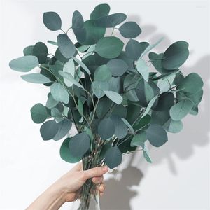 Decorative Flowers 100g Dried Preserved Eucalyptus Stems For Floral Arrangement Vase Filler Natural Silver Dollar Leaf Real Fresh Plant