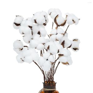 Flores decorativas 20 peças de algodão seco picaretas plantas hastes florais artificiais decorações de fazenda para vaso decoração de casa
