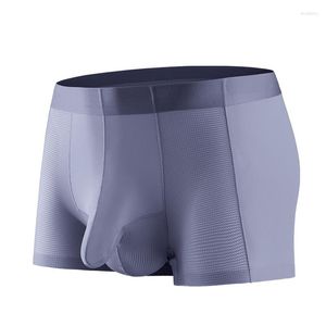 Cuecas dos homens roupa interior boxers shorts homme legal gelo seda malha calcinha homem respirável jj bolsa sólida cueca masculina