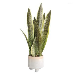 Decorative Flowers Simulation Of Fleshy Tiger Orchid Green Plant Ornaments Indoor Potted Desktop Display Artificial Flowers.