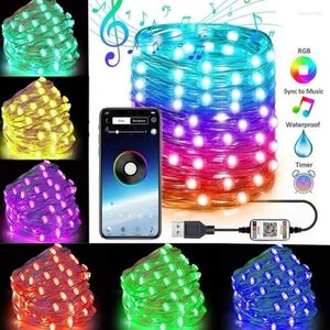 Strängar 2/5/10/15/20M Smart RGB Fairy String Light App Bluetooth Control Waterproof USB Copper Wire Lights DIY Festlig omgivning