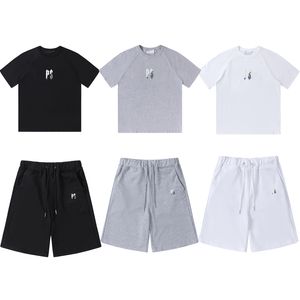 Luxury Men Tracksuits Summer Thin Fabric Designer Logo Thandduk Brodery T Shirt and Shorts Casual Fashion Sport Short Trousers Loose Street Clothing