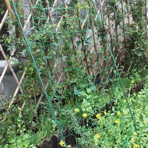 Skugga växter klättring netto trädgårdsarbetet nätverk växt stöd växa hållare trädgård staket för gurka morgon glans petunia blommor blommor