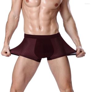 Underbyxor boxare trosor underkläder shorts trosor män knickers mesh andningsbar is silk sommar mjuk plus storlek l-4xl bekväm