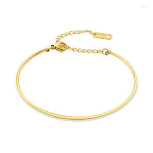 Bangle ANEEBAYH Minimalist Stainless Steel Circle Chain Bracelet For Women 14K Gold Plated Exquisite Trendy Jewelry 2023