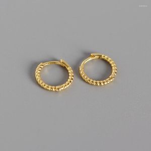 Hoop Earrings Real 925 Silver For Women Gold Small Girl Ear Bone Piercing Earring Punk Female Twist Line Aretes R5