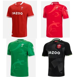 22 23 wales rugby National Team Jerseys Cymru Sever Version World Cup polo T-Shirt 22 23 Welsh Men