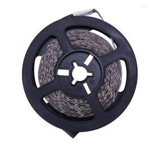 Strings 5M LED Strip SMD 3528 With 300 LEDs Cold White 6000K DC 12V Non Waterproof Flexible Fairy Lights Tape Perfect Fo