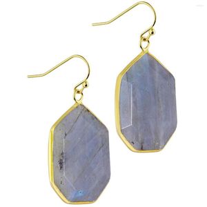 Dangle Earrings Reiki Healing Labradorite Earring Simple Design Geometric Drop Women Jewelry Sweet Girls Gift