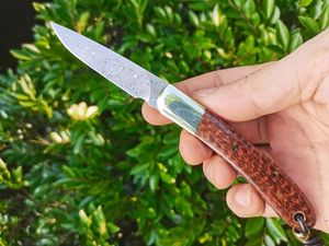 Top Quality H2375 Folding Blade Knife 67 Layers VG10 Damascus Steel Blade Snakewood wtih Brass Handle Outdoor Camping Hiking EDC Pocket Folder Knives