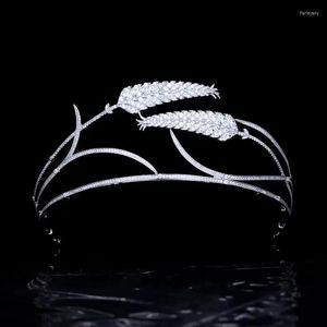 Hair Clips Eyer Luxo Pretty Cubic Zirconia Royal Tiara para Crystal Princesa Tiaras Diadema Mulheres Meninas Jóias da Cabeça da Partida