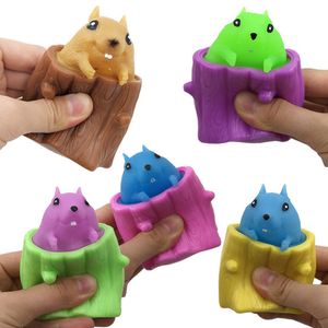 Squeezing Squirrel Cup Toys Decompression Fidget Antistress Sensory Stress Reliefing Gift för barn Vuxna gömmer sig och söker 1805