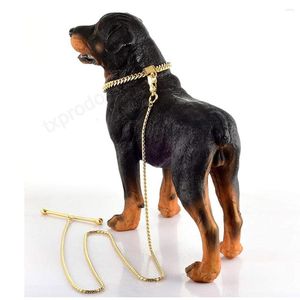 Dog Collars Cuban Link Collar 2Ft 3Ft 4Ft Chew Proof Chain Leash Strong Metal Choke For Large Medium Small