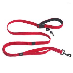 Hundehalsbänder laufen Hyänen Seil Fortraining Explosionssicherer elastischer Nylon hochfestes Haustier-Leine-Mode-Modedauerkettenzubehör