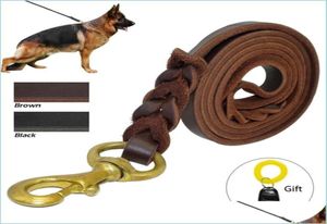 Colarinhos de cachorro colares de colméias de couro de cão de couro de trecho de estimação de animais de estimação para o clicker de presente de pastor alemão Medium Shepherd Deliv99993870