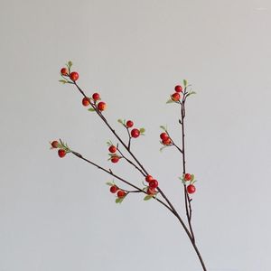 Dekorativa blommor ganska miljövänliga konstgjorda bärgrenens prydnadsfruktsimulering Flower Home Decoration POGRAPHY PROPS