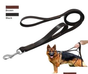 Colarinho de cachorro colareshes geniune couro cão de estimação treinar corda de corda de caminhada de chumbo para cães médios grandes controle rápido com 2 Ha8083062