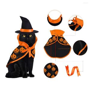 Costumi per gatti Animali domestici Gatti Vestiti Costume cosplay Abito Mantello di Halloween Set di cappelli Prodotti per animali domestici Accessori Cosplay