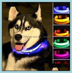 LED Nylon Pet Dog Collar Night Safety Light Glow Lampeggiante nella consegna scura del guinzaglio del guinzaglio 2021 Collars Forte di guinzagli Home6749851