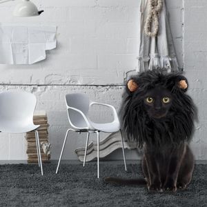 Kedi Kostümleri Dayanıklı Aslan Mane Peruk Tasarım Kostüm Aksesuarları Partisi Pet Malzemeleri Cosplay Meapwear için