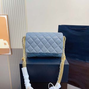 Designer Bag Womens Shoulder Bag Crossbody Bag Fashion Handbag Canvas Pu Leather Strap Chain Messenger Handbag Luxury Handbag Olika stilar