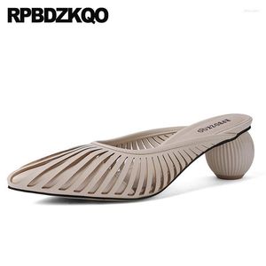 Тапочки 5 простые кожаные женские модельер -дизайнерские женские туфли 2023 Корпальные сандалии слайды заостренные мулы для мулов.
