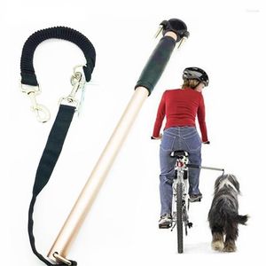 Hundhalsar Nylon Elastisk cykeltraktionsbälte Rep Leash Bike Attachment Pet Walk Run Jogging Distance Keeper Hand Free Pets